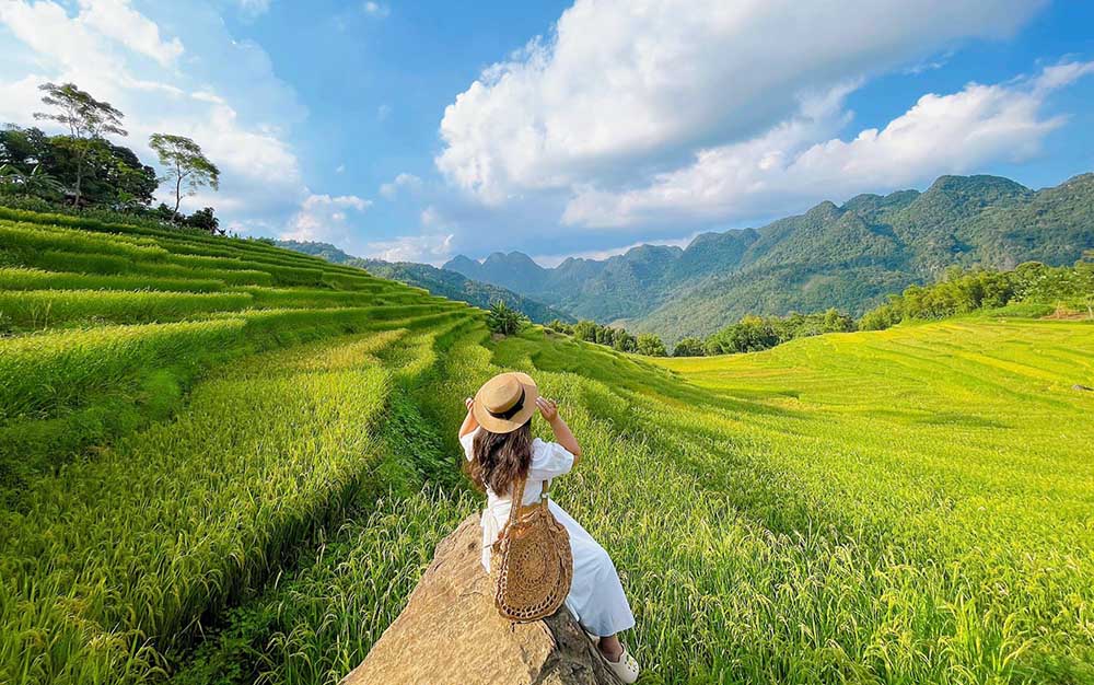 Pu Luong nature reserve terrace rice fields