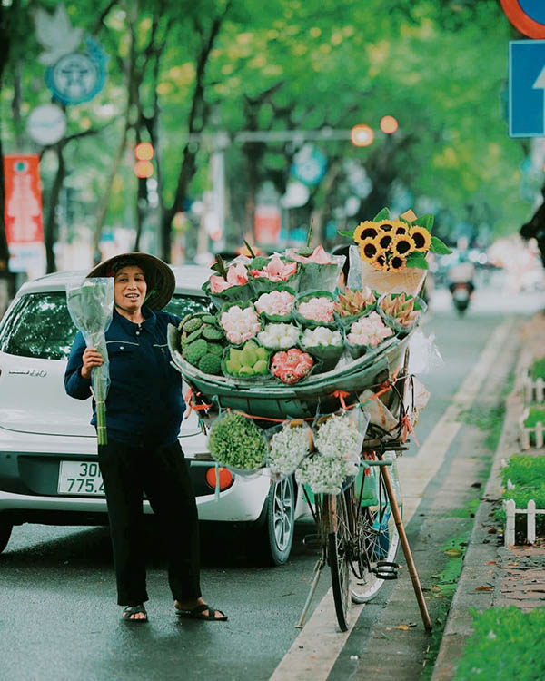 flower in Hanoi City Vietnam tour company