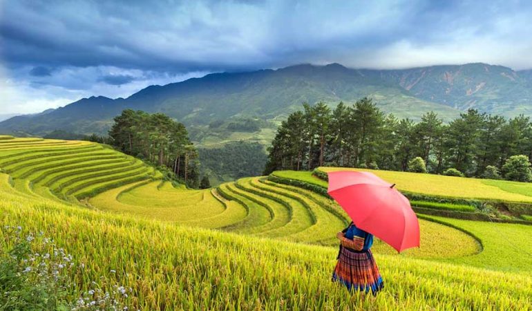 The Best Time To Visit Mu Cang Chai & Monthly Features