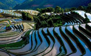 Sapa tour Vietnam