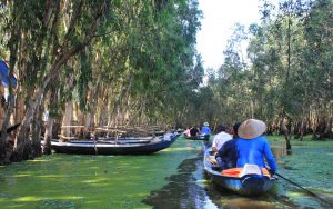 Foating Tra Su forest, Mekong floating village.